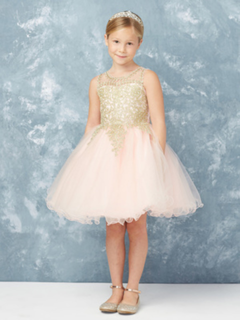 Flowergirl Dress T713